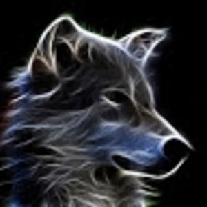 Meet your Posher, Timothy